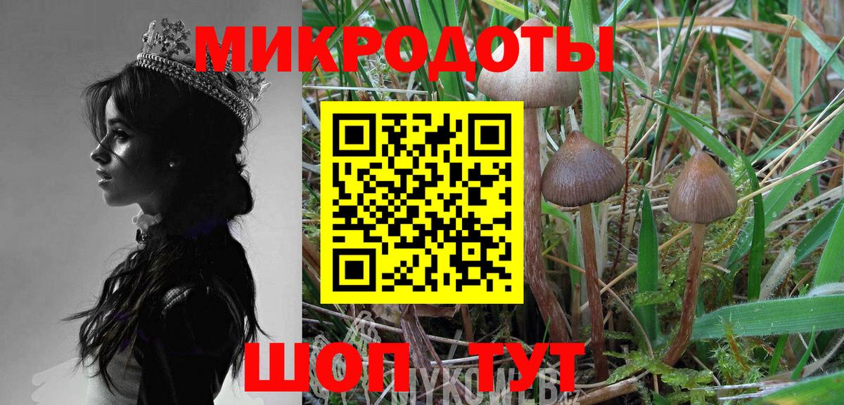 Псилоцибиновые грибы GOLDEN TEACHER  Вход с VPN  Магадан  Галлюциногенные грибы Cubensis 